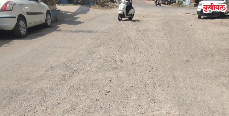 दिघोडे-चिर्ले रस्त्याची दुरवस्था