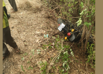 Poladpur Accident: मोटारसायकलची झाडाला धडक; एकाचा मृत्यू