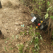 Poladpur Accident: मोटारसायकलची झाडाला धडक; एकाचा मृत्यू