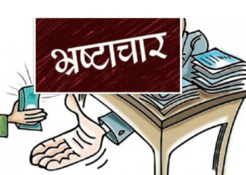विकास संस्था की भ्रष्टाचाराचा खजिना?