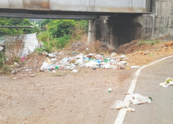 महिसदरा नदीपात्राजवळ कचऱ्याचे साम्राज्य