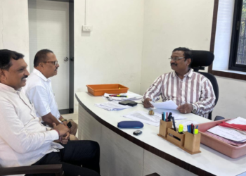 पावसाळ्यापूर्वी कामांच्या आढाव्याची मागणी