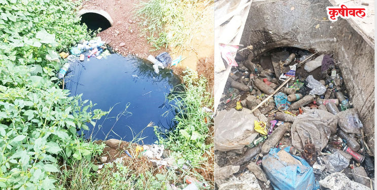माणगाव तालुक्याची जैवविविधता धोक्यात