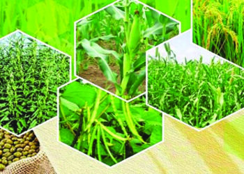 खरीप लागवडीसाठी 73 हजार हेक्टरचे उद्दिष्ट