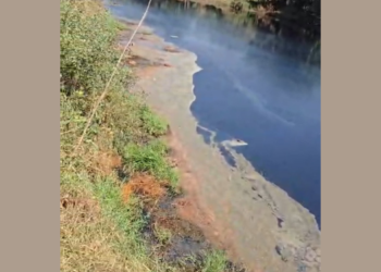 Kasadi River Pollution: कासाडी नदी प्रदूषणाच्या विळख्यात
