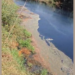 Kasadi River Pollution: कासाडी नदी प्रदूषणाच्या विळख्यात