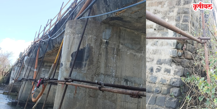 Palhe Bridge is Dangerous: पाल्हे पूल कोसळणार?