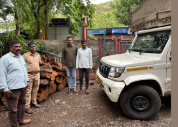 सुधागडमध्ये खैर तस्करीचा पर्दाफाश