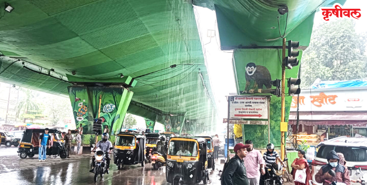 उन्नती पुलावर धबधबे