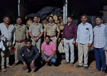 कशेडी घाटात खैर लाकडांची तस्करी उघड