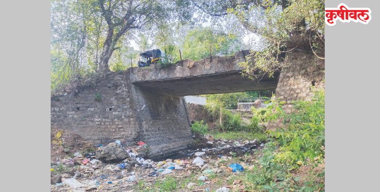 वदप-गौरकामत पूल धोकादायक