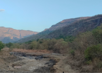 आदिवासी बांधवांचा एल्गार