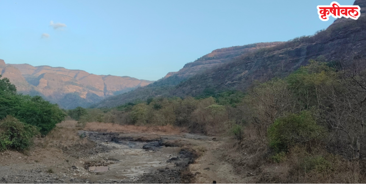 आदिवासी बांधवांचा एल्गार