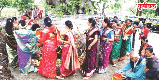 जिल्हाभरात वटपौर्णिमा उत्साहात साजरी
