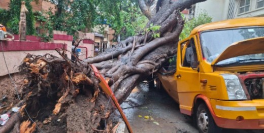 चेंबूरमध्ये स्कूल बसवर झाड कोसळले; दहा विद्यार्थी गंभीर जखमी