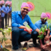 हरित भविष्यासाठी ट्रान्सवर्डचा संकल्प