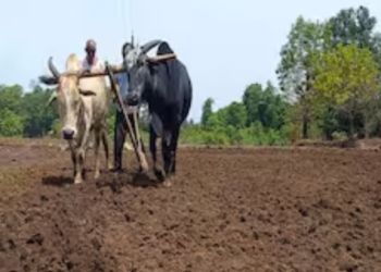 पाऊस लांबला; बळीराजाची नजर आकाशाकडे