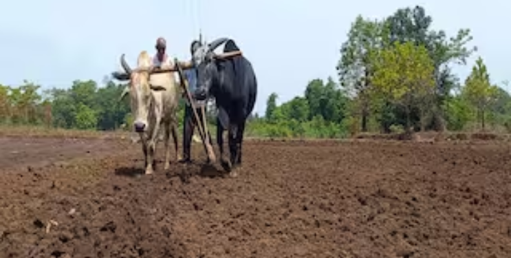 पाऊस लांबला; बळीराजाची नजर आकाशाकडे