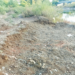 Amba River: अंबा नदीतील रेजगा चोरीला