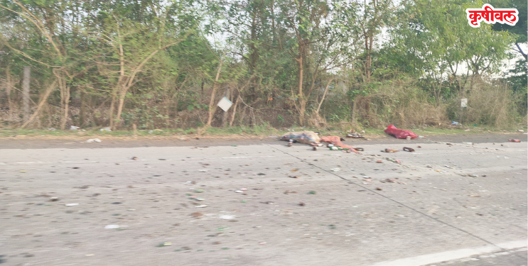पाली-खोपोली राज्य महामार्गावर दारूच्या बाटल्यांचा खच