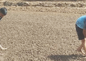 शेतकऱ्यांची बियाणे पेरणीला सुरुवात