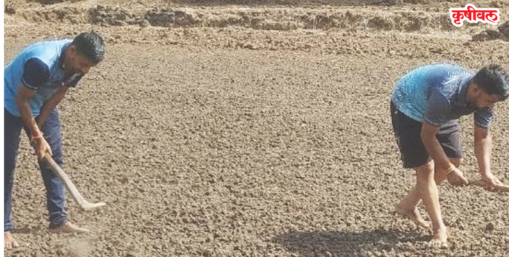 शेतकऱ्यांची बियाणे पेरणीला सुरुवात