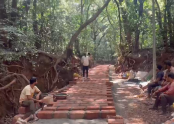 जिल्हाधिकारी कार्यालयाचे कारवाईचे आदेश