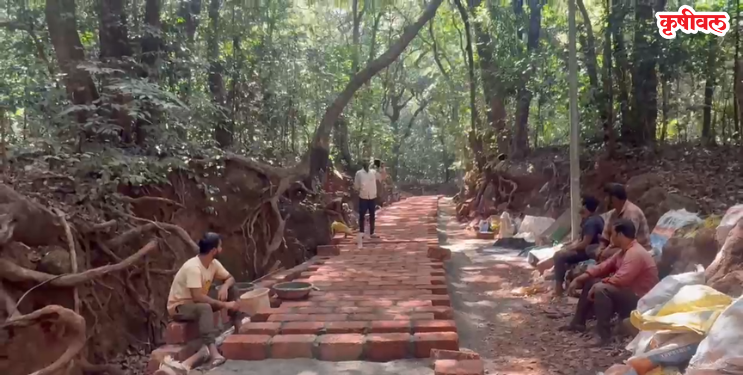 जिल्हाधिकारी कार्यालयाचे कारवाईचे आदेश