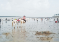 काशीद बीचवर पर्यटकांची गर्दी