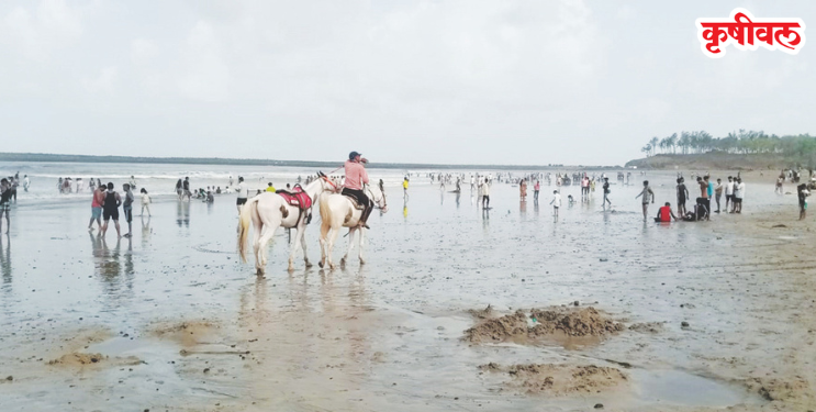 काशीद बीचवर पर्यटकांची गर्दी