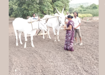 Rice Sowing: शेतकऱ्यांनो, पेरणीची घाई टाळा!