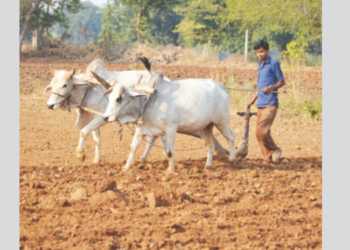कोलाड परिसरात मान्सून पूर्व मशागतीची कामे पूर्ण
