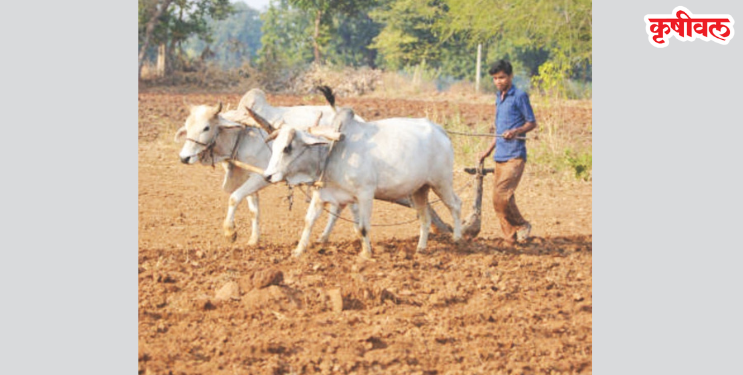 कोलाड परिसरात मान्सून पूर्व मशागतीची कामे पूर्ण
