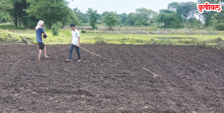 कर्जतमध्ये भाताच्या पेरण्या संकटात