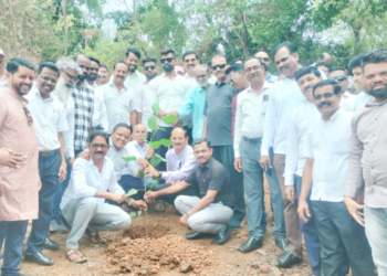 वाढदिवसानिमित्त देशी झाडांचे वृक्षारोपण