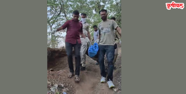 रसायनीत उष्माघातामुळे एका व्यक्तीचा मृत्यू