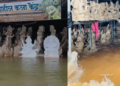 Pen Ganesh idol: बाप्पांच्या आगमना आधीच पेणच्या गणेशमूर्तींवर पावसाचा घाला