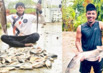 रोह्यात ‘वलगणी’च्या माशांची पर्वणी