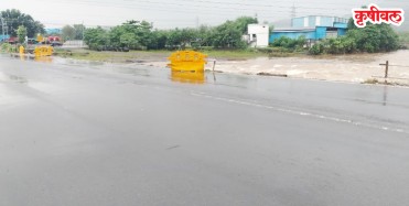 पुलावरील रेलिंग गेली वाहून