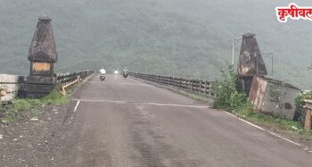 Salav Bridge: साळाव पूल संकटात