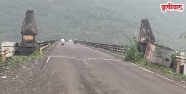Salav Bridge: साळाव पूल संकटात
