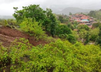 मुठा गावाजवळील ठाकूरवाडी येथे भूस्खलन