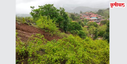 मुठा गावाजवळील ठाकूरवाडी येथे भूस्खलन