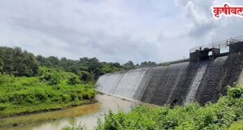 Raigad Dam: रायगडातील 20 धरणे तुडुंब