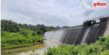 Raigad Dam: रायगडातील 20 धरणे तुडुंब