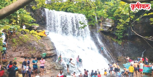 निसर्ग अन् धबधब्याचा संगम; वर्षा सहलींसाठी रायगडात पर्यटकांची गर्दी