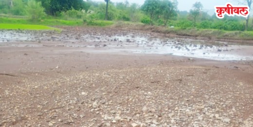 पारखंदेत भातशेतीवर दगड-मातीचा थर