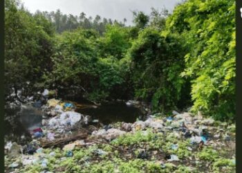 रेवदंडा-चौलच्या मँग्रोव्हवर कचऱ्याचा घाला