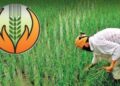 Crop Insurance Scheme: पीक विम्याकडे शेतकऱ्यांची पाठ