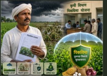 पिकाला आर्थिक सुरक्षा कवच